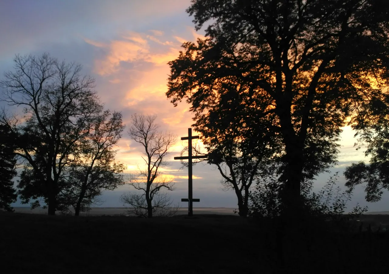 IMG_20201007_221226.jpg