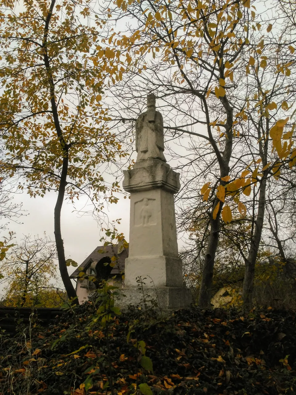 IMG_20201112_161507.jpg