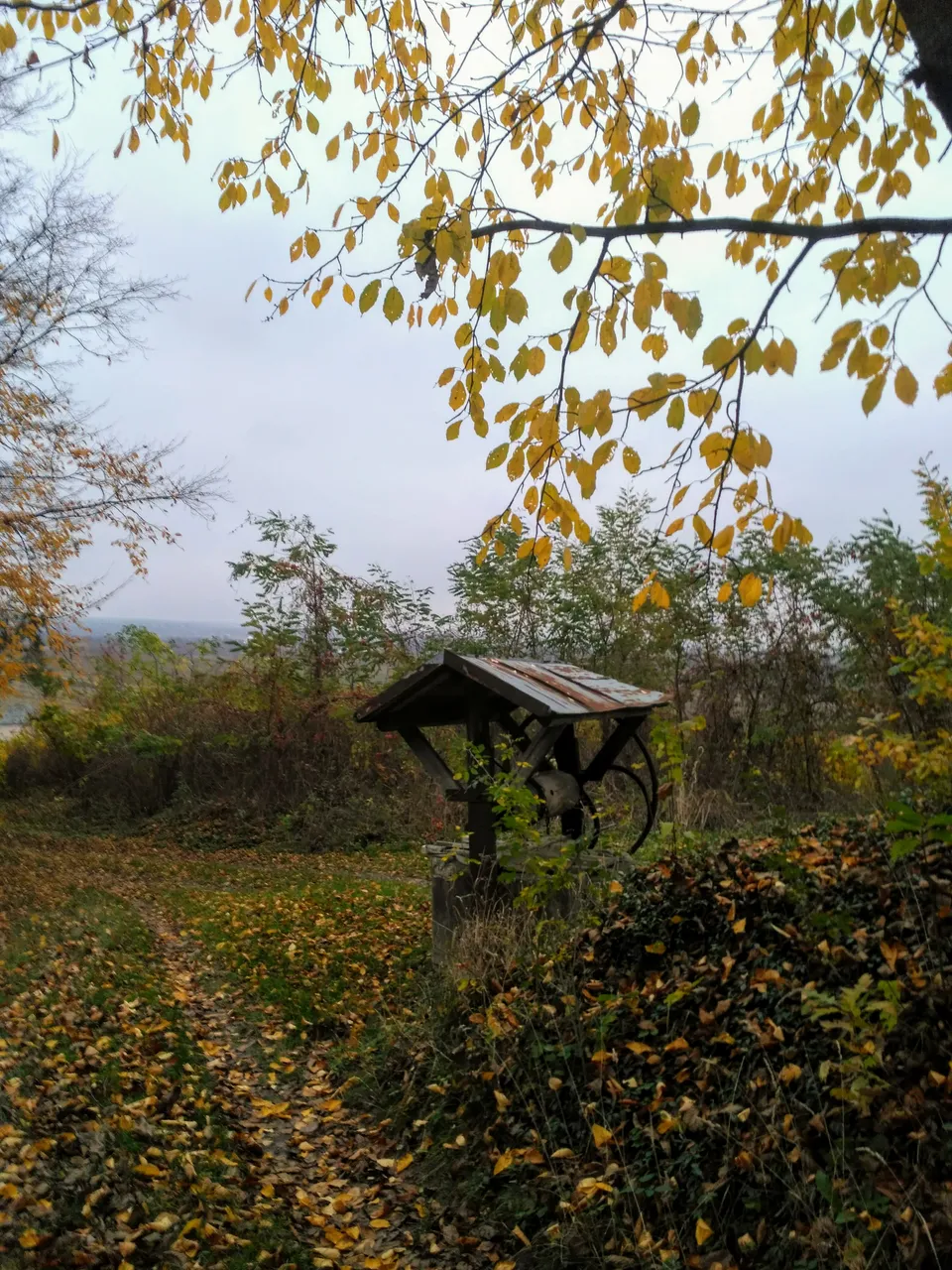 IMG_20201112_162841.jpg