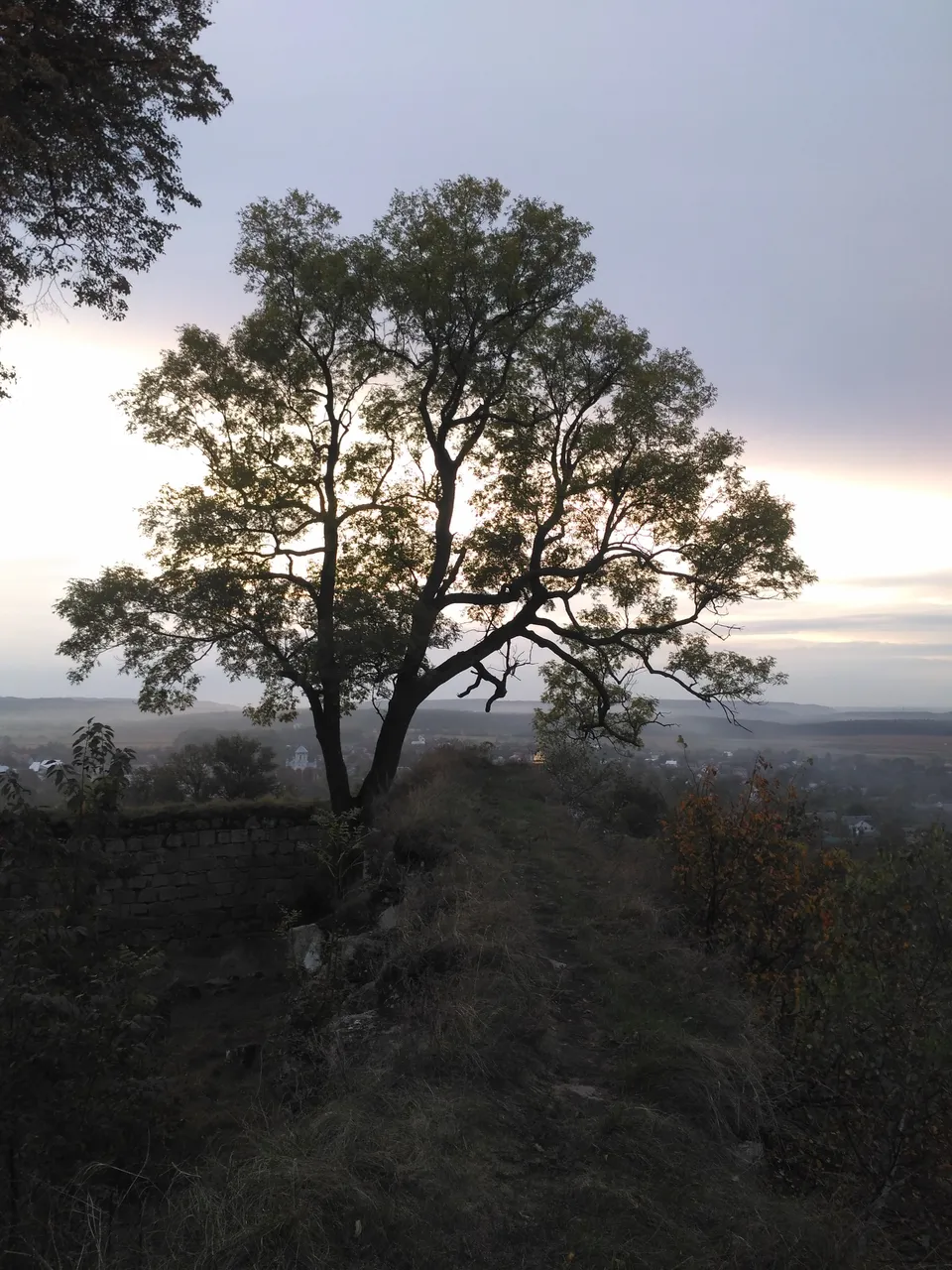 IMG_20201007_182607.jpg