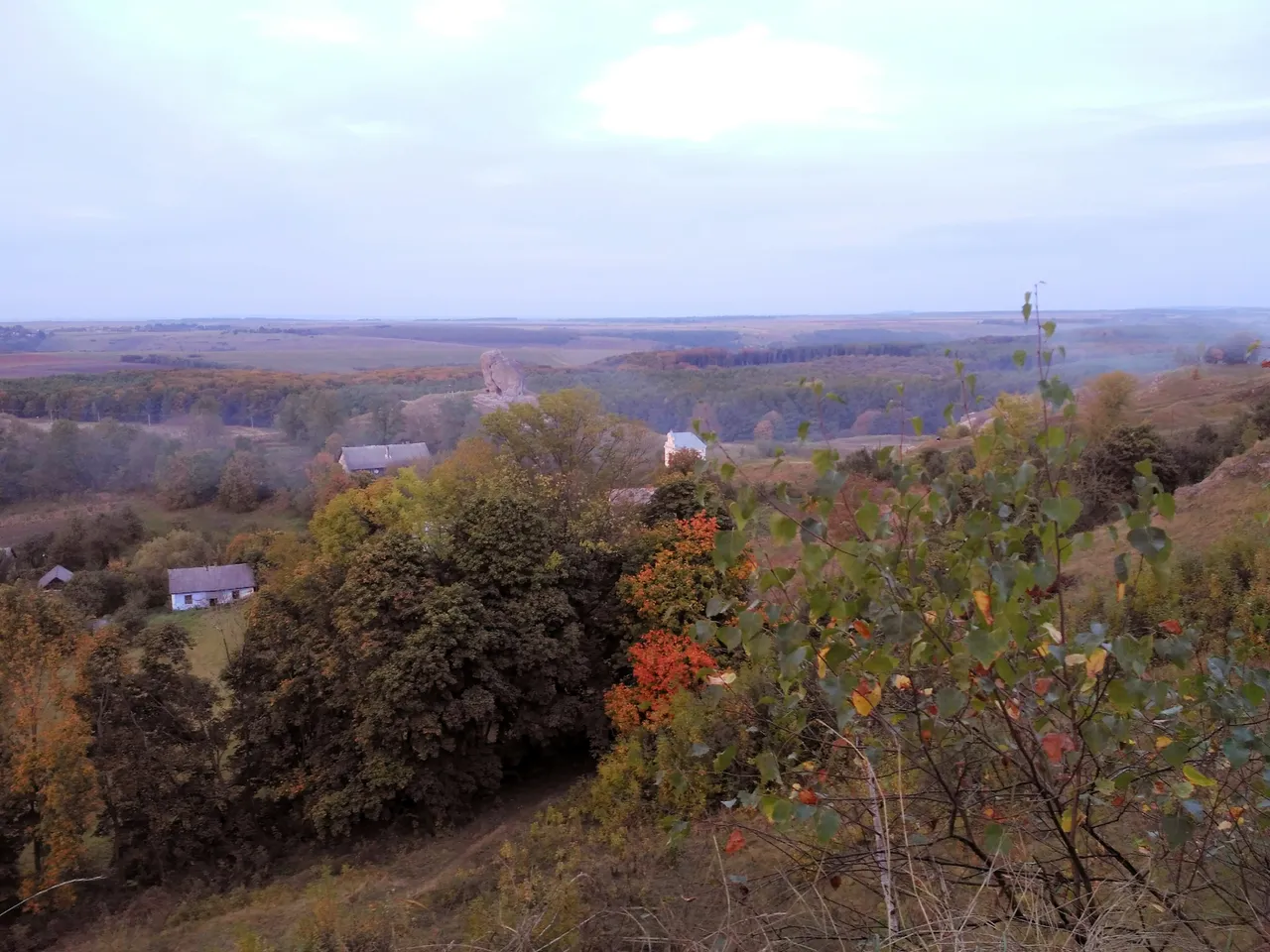 IMG_20201013_134616.jpg