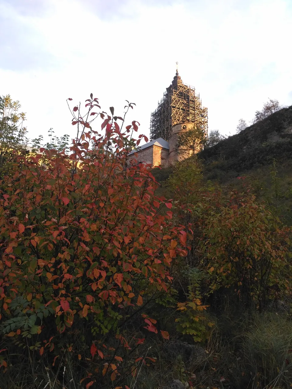 IMG_20201007_180438.jpg