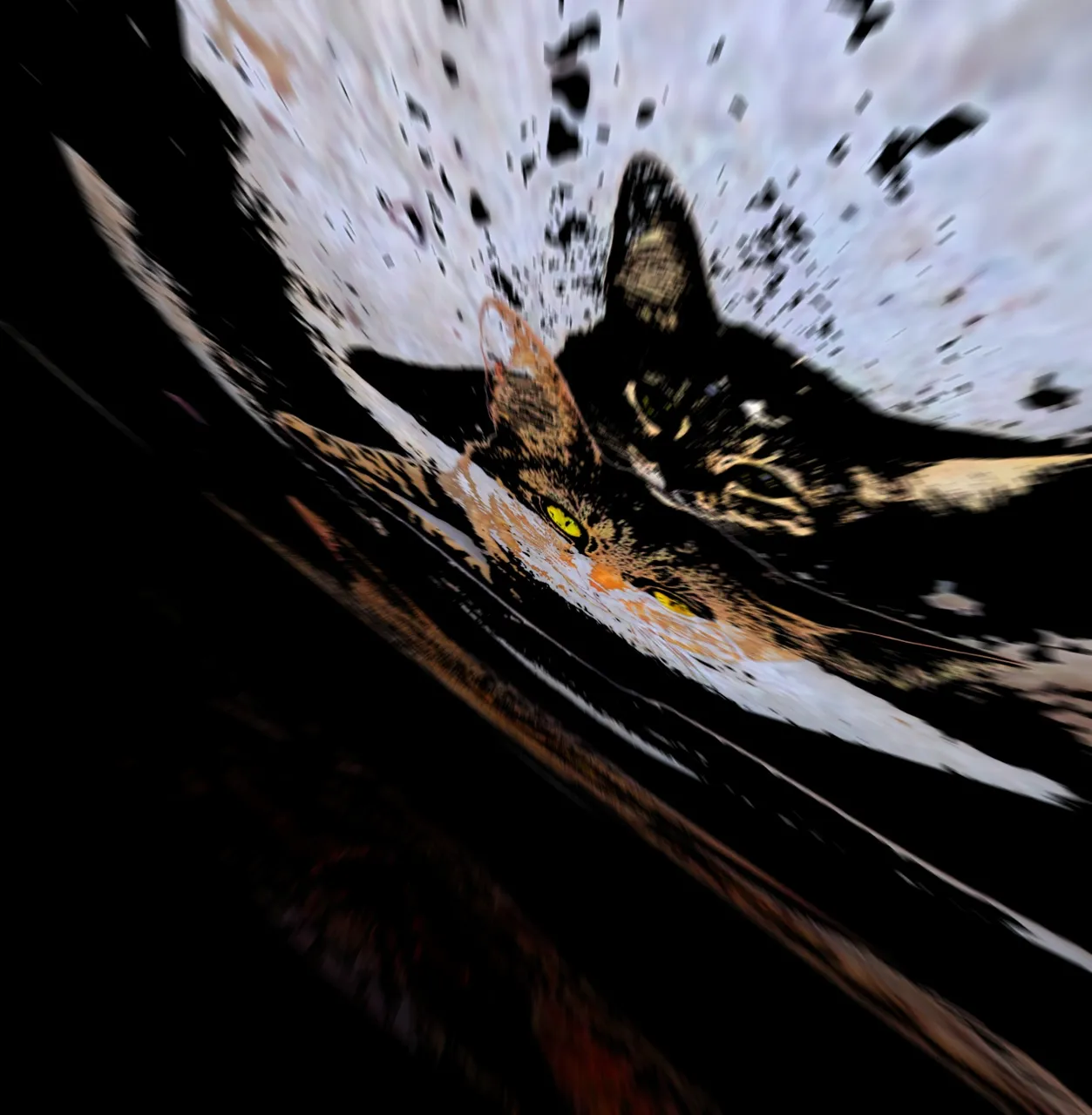 image3A48654_mirror5~2.jpg
