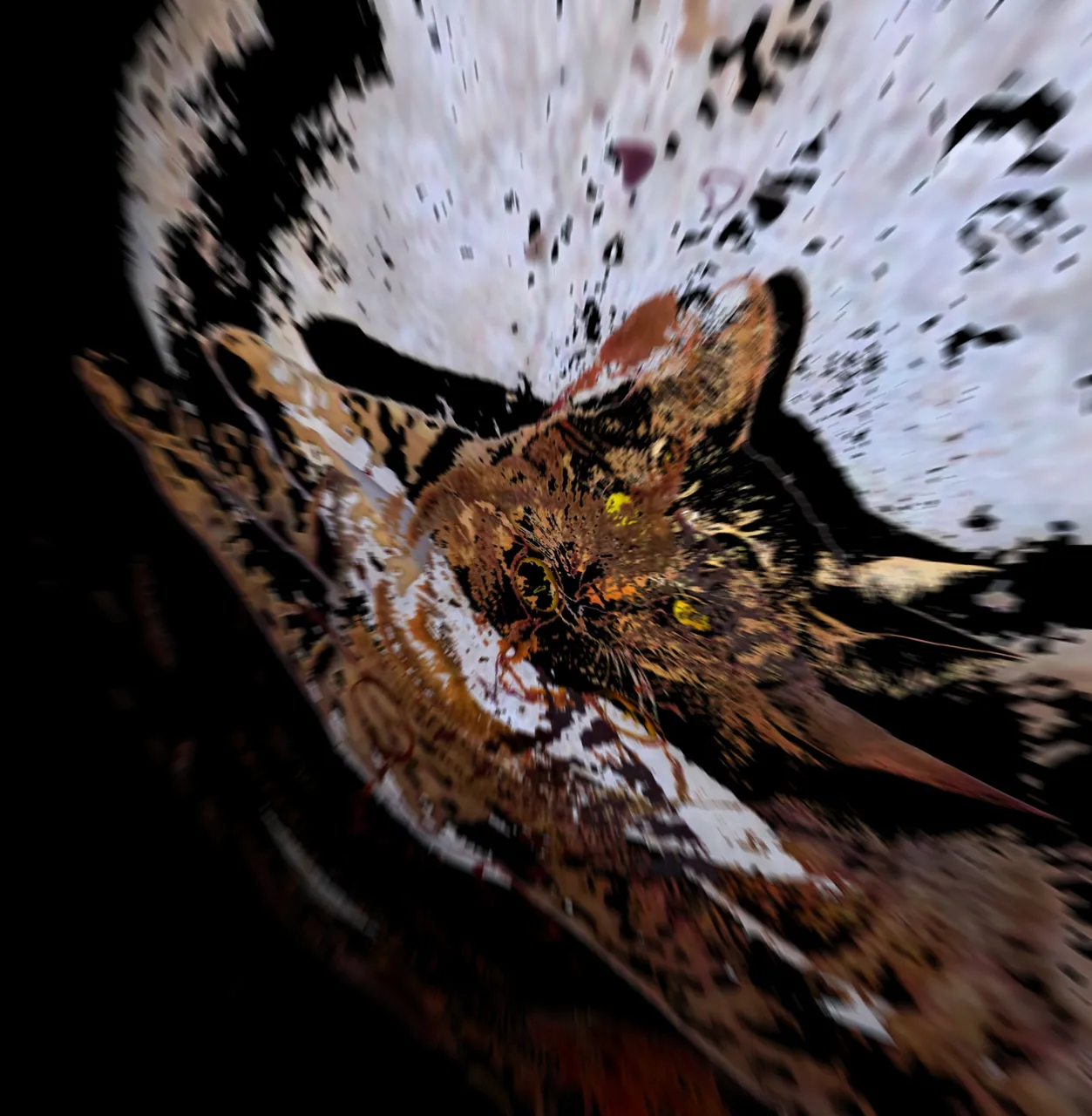 image3A48654_mirror6~3.jpg