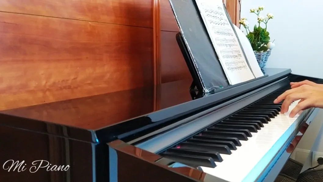 Chopin Sad Sunday Photo.jpg