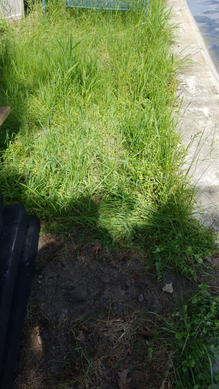 IMG20200607WA0013.jpg