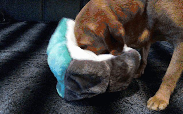 FriedaSpielBallWürfel2.gif