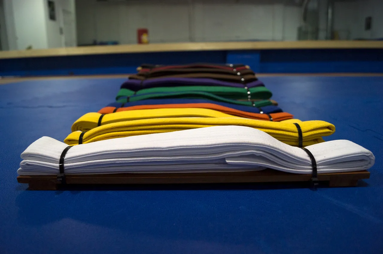 Martial Arts Belts.jpg