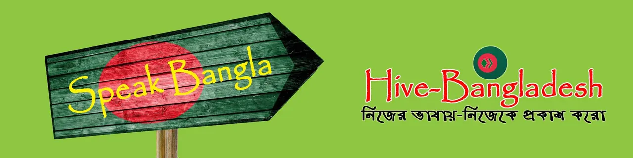 HiveBangladesh Banner.jpg