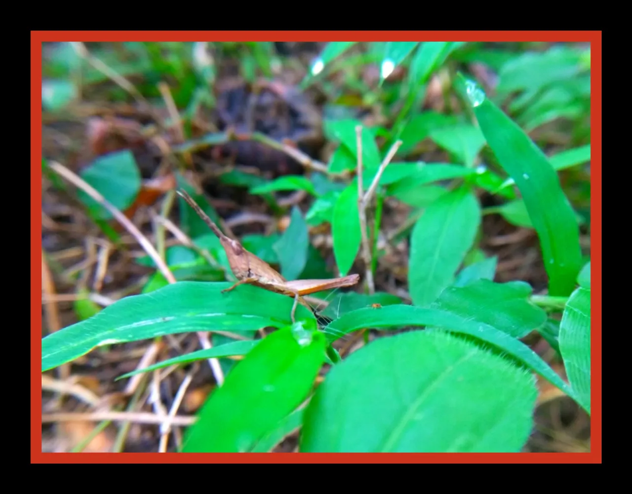 PicsArt_060812.50.27.jpg