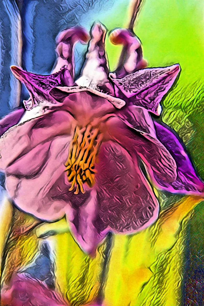 imageedit_91_fairy.jpg