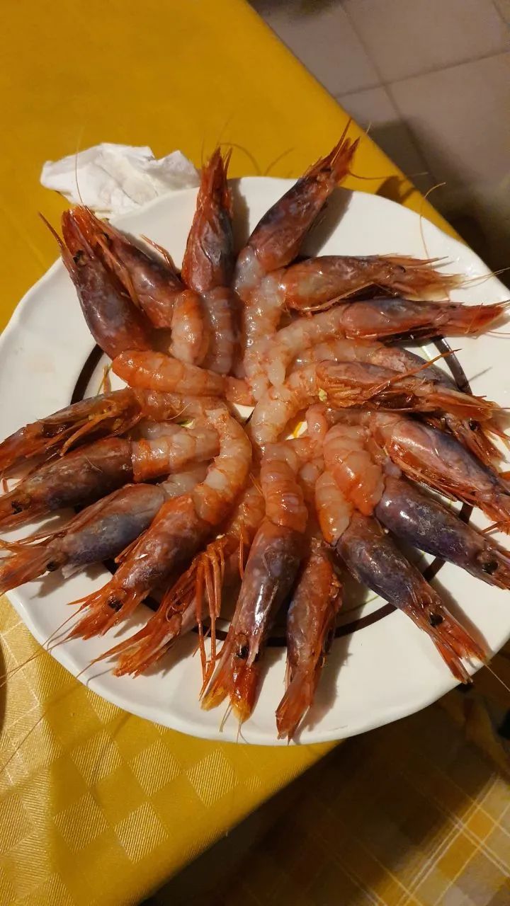 IMAGE 20200912 01:50:14.jpg