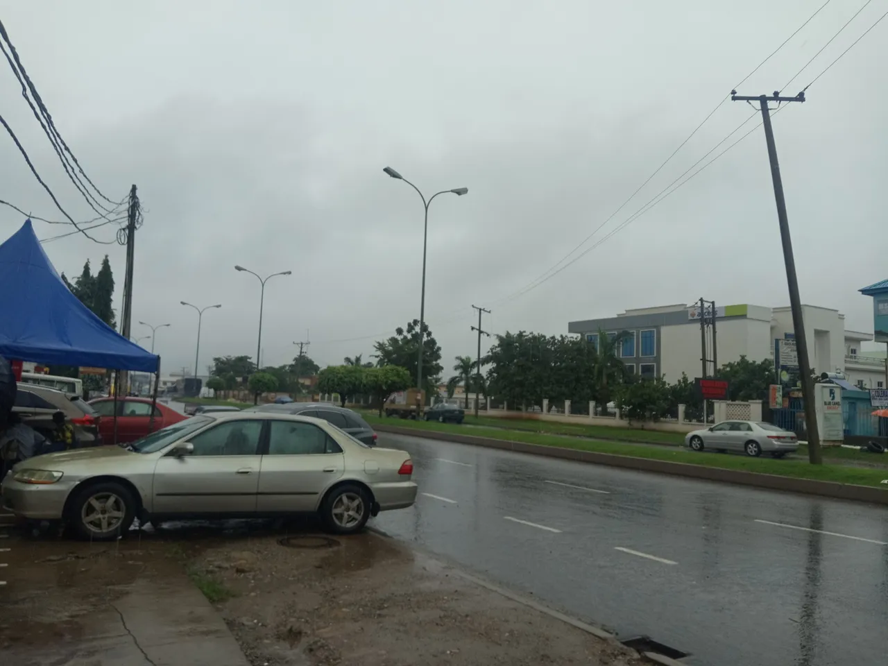 IMG_20200717_083225_8.jpg