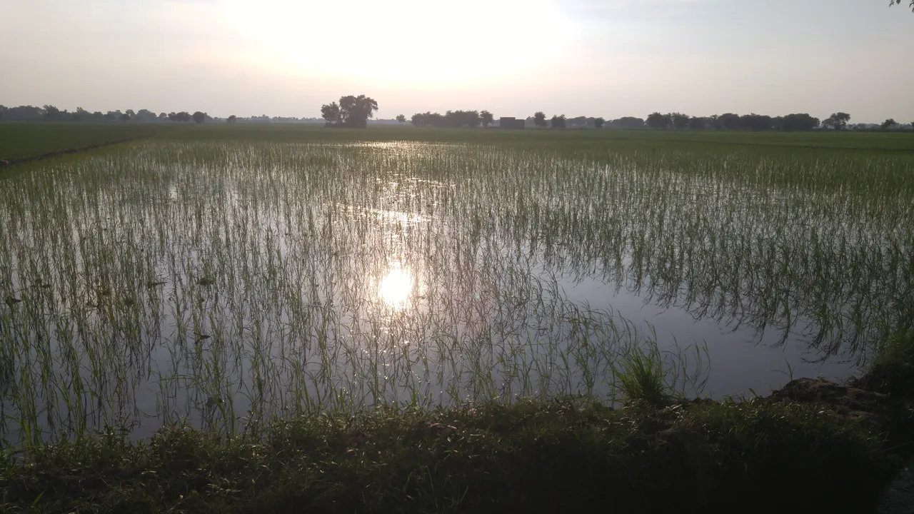 20190729_175235.jpg
