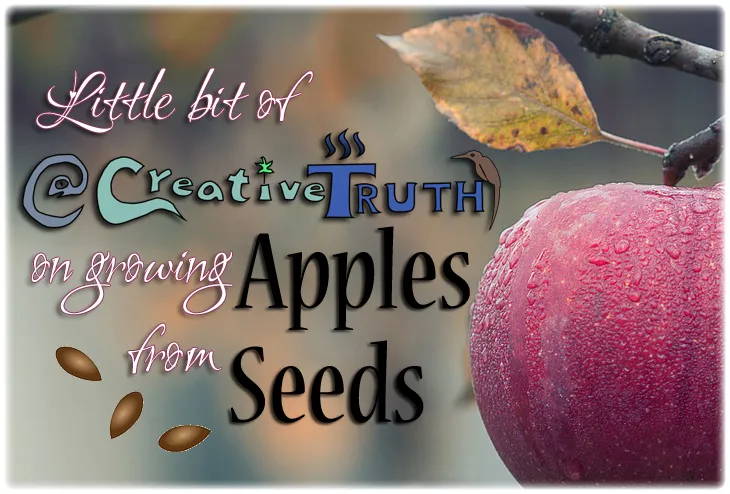 applesfromseeds.png