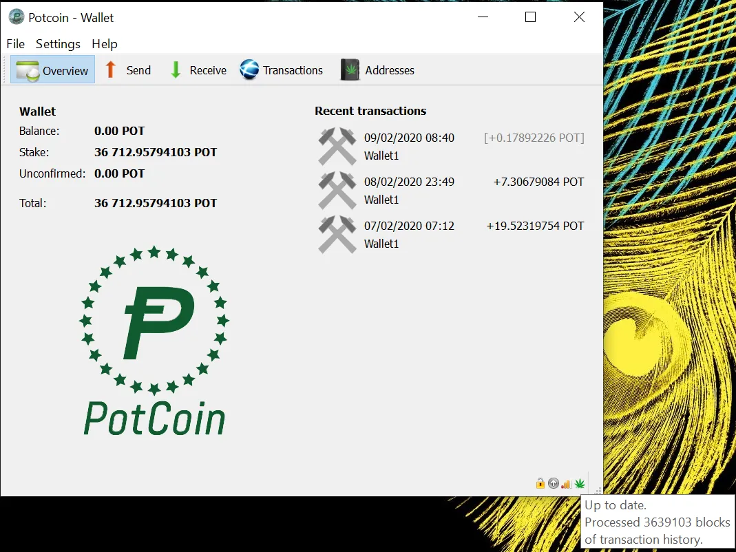 potcoin feb 9 2020.PNG