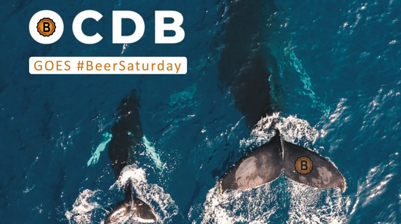 OCDB goes BeerSaturday.png