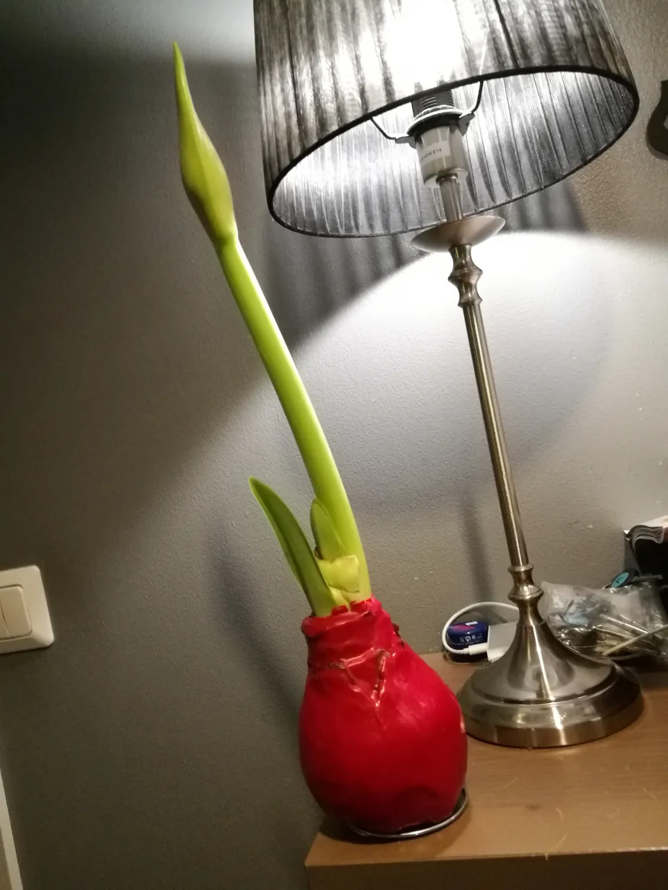 IMG_20191127_084427.jpg