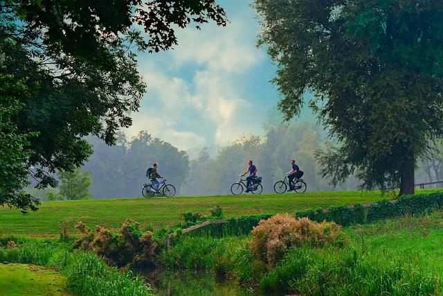 cyclist3659933_640 1.jpg