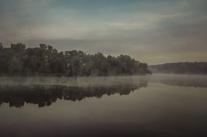 morning768728__480.jpg