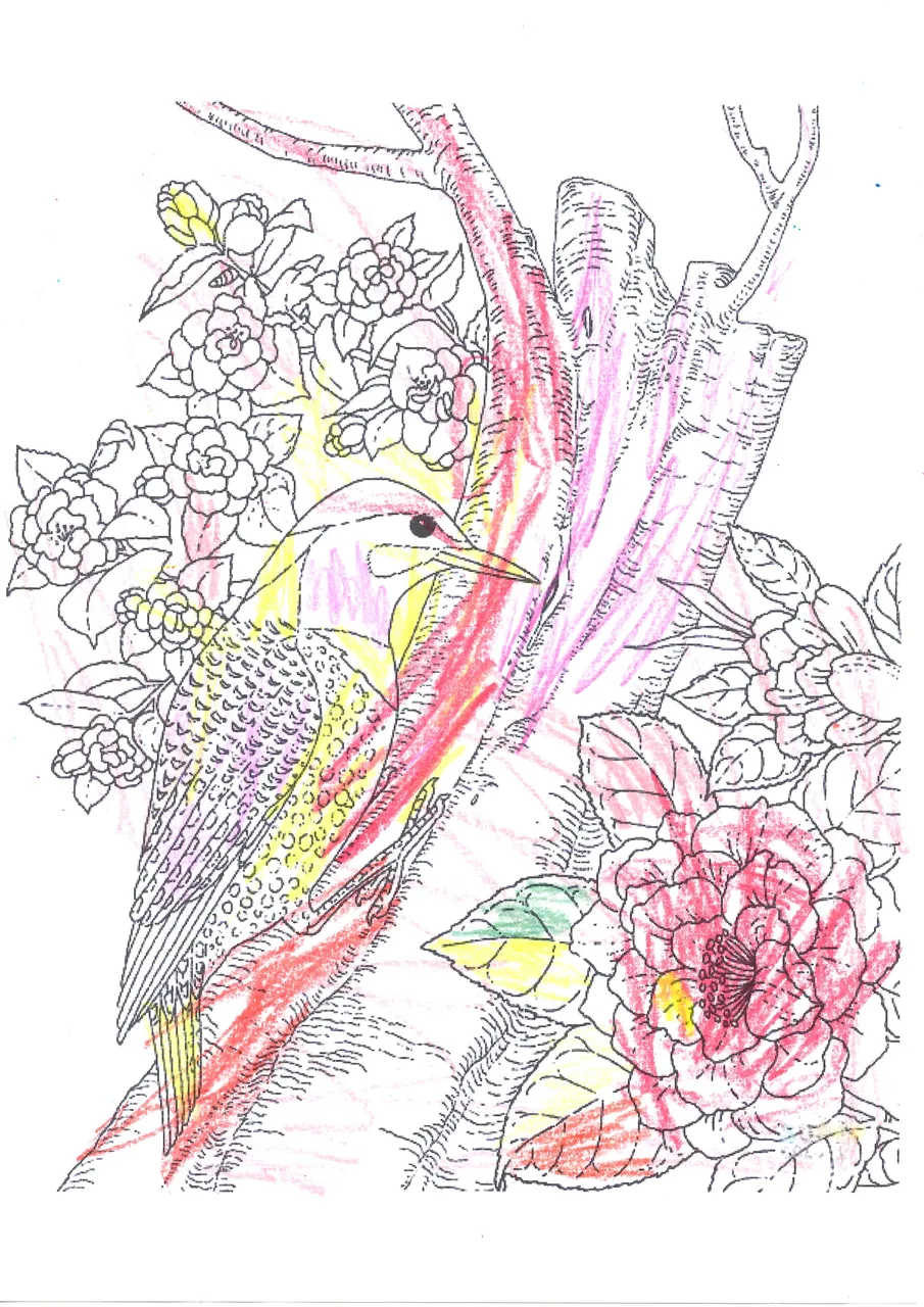 Epson_27072019094024.jpg