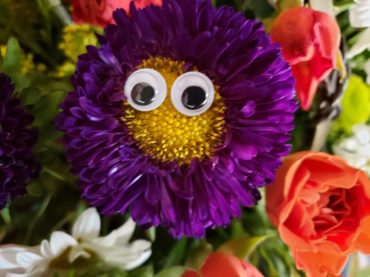 20190420_171744.jpg