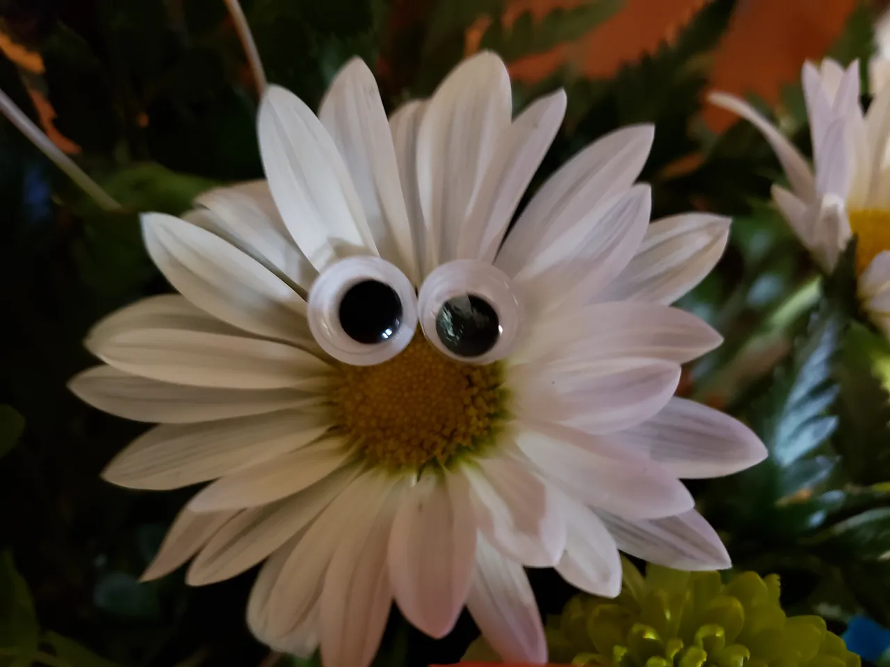 20190420_171852.jpg