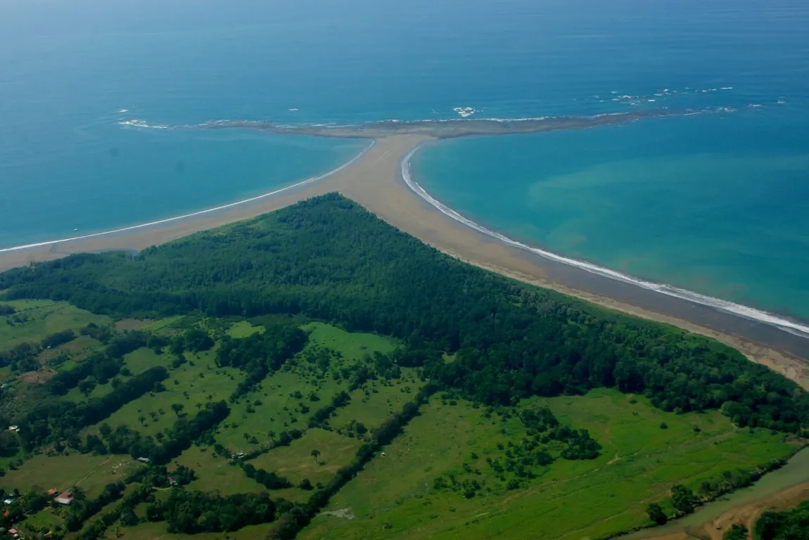 MARINO BALLENA062.JPG