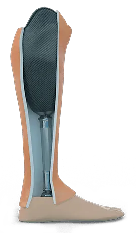 aqualeg.png
