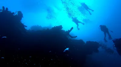 150 feet down in Eluthera, looking back up at my dive group.