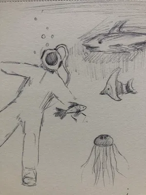 the whole picture 🦈