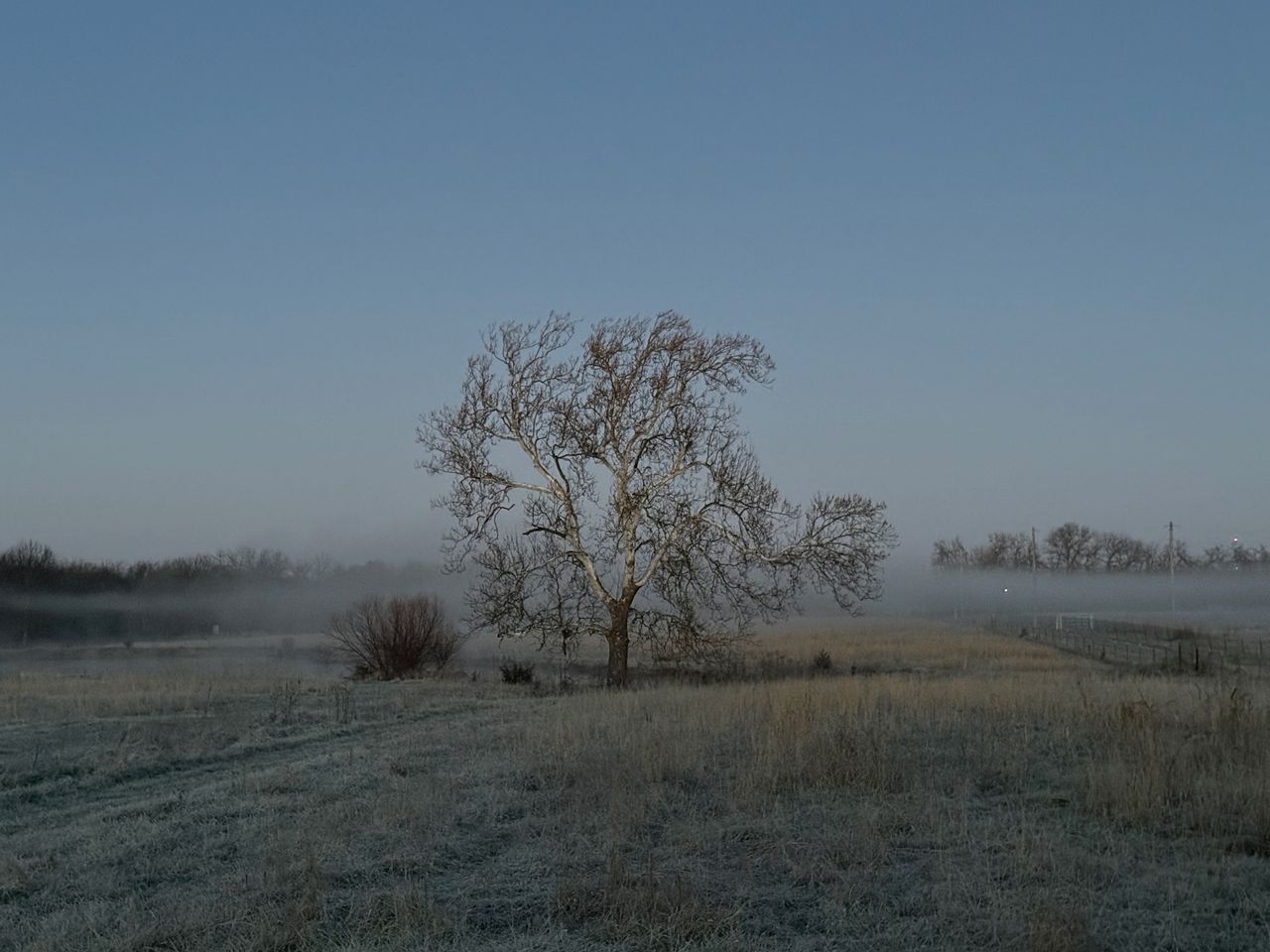 Fog and Frost