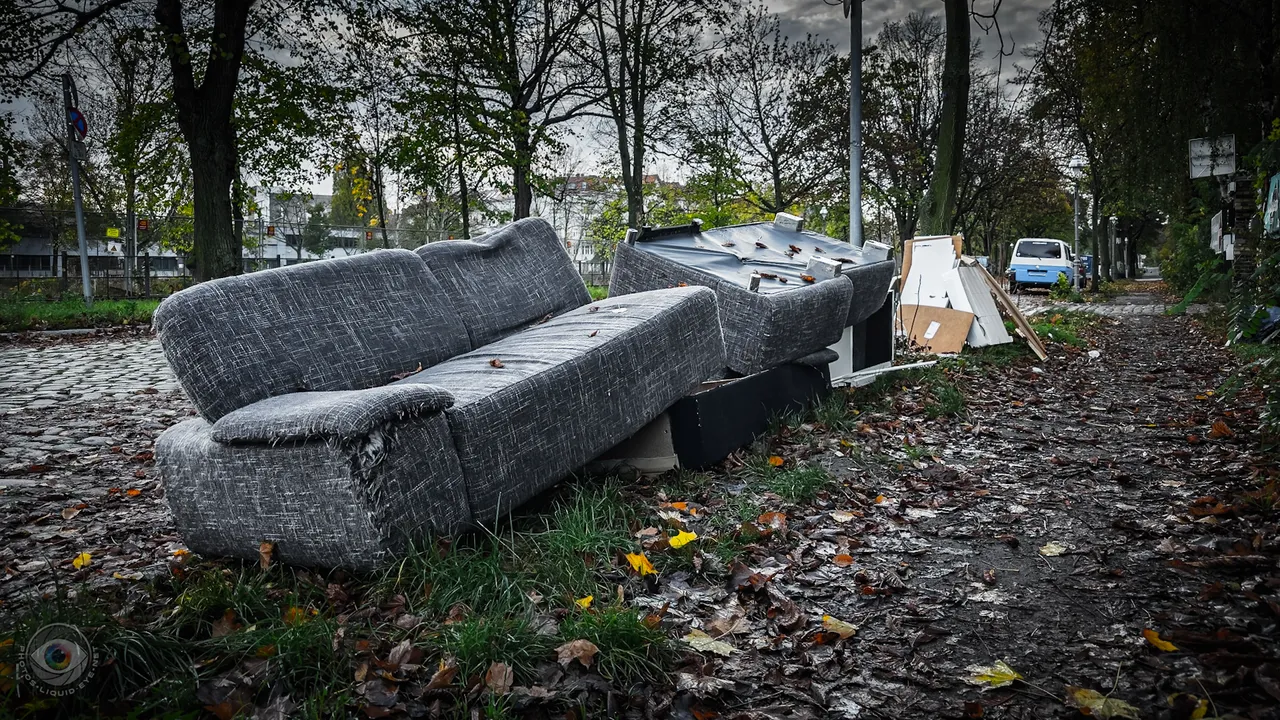 Dumped Couch