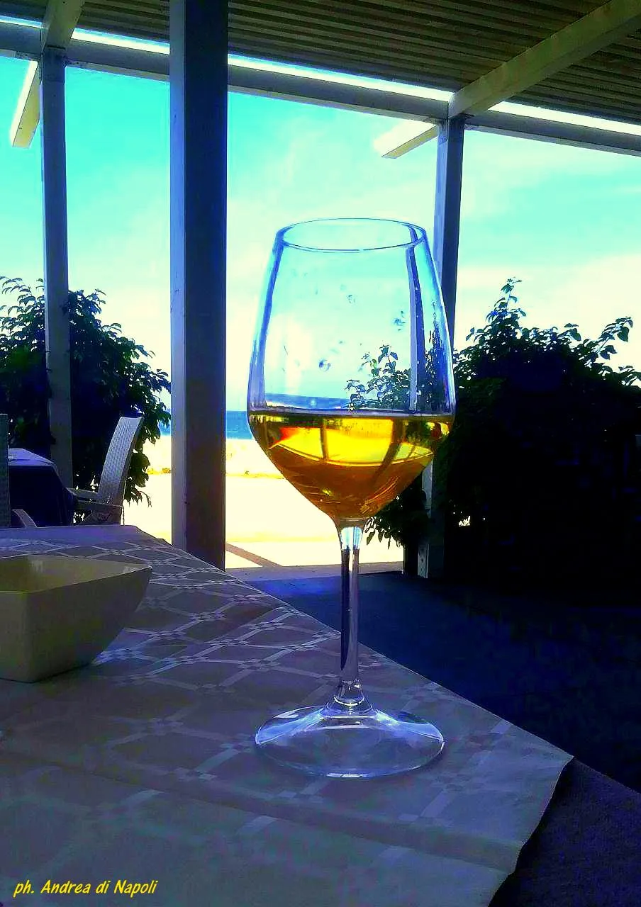 wine_vino.jpg