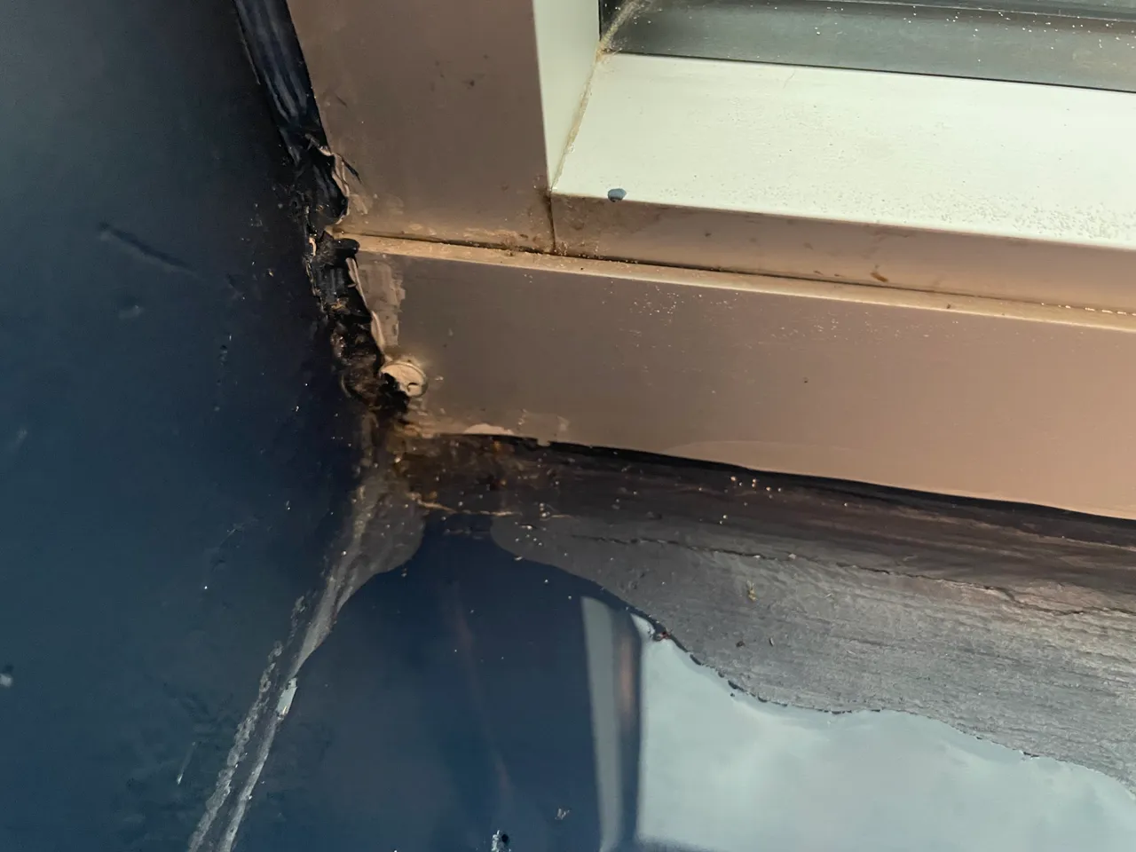 window end dam leak