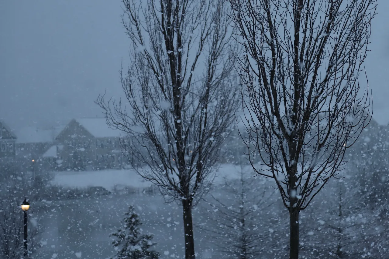 snow_dday.jpg