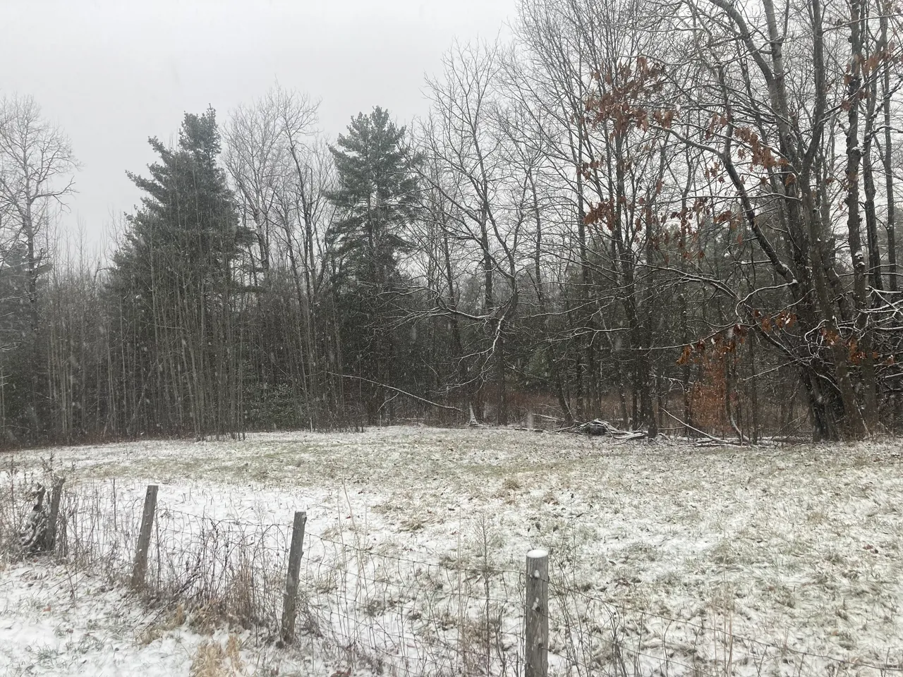 Snow falling on field