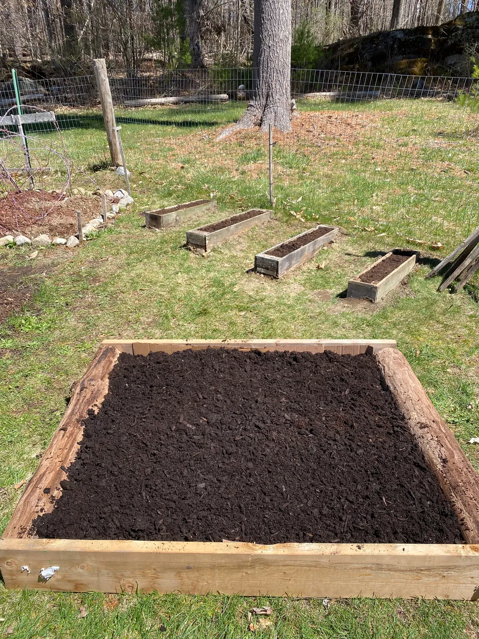 New Beds