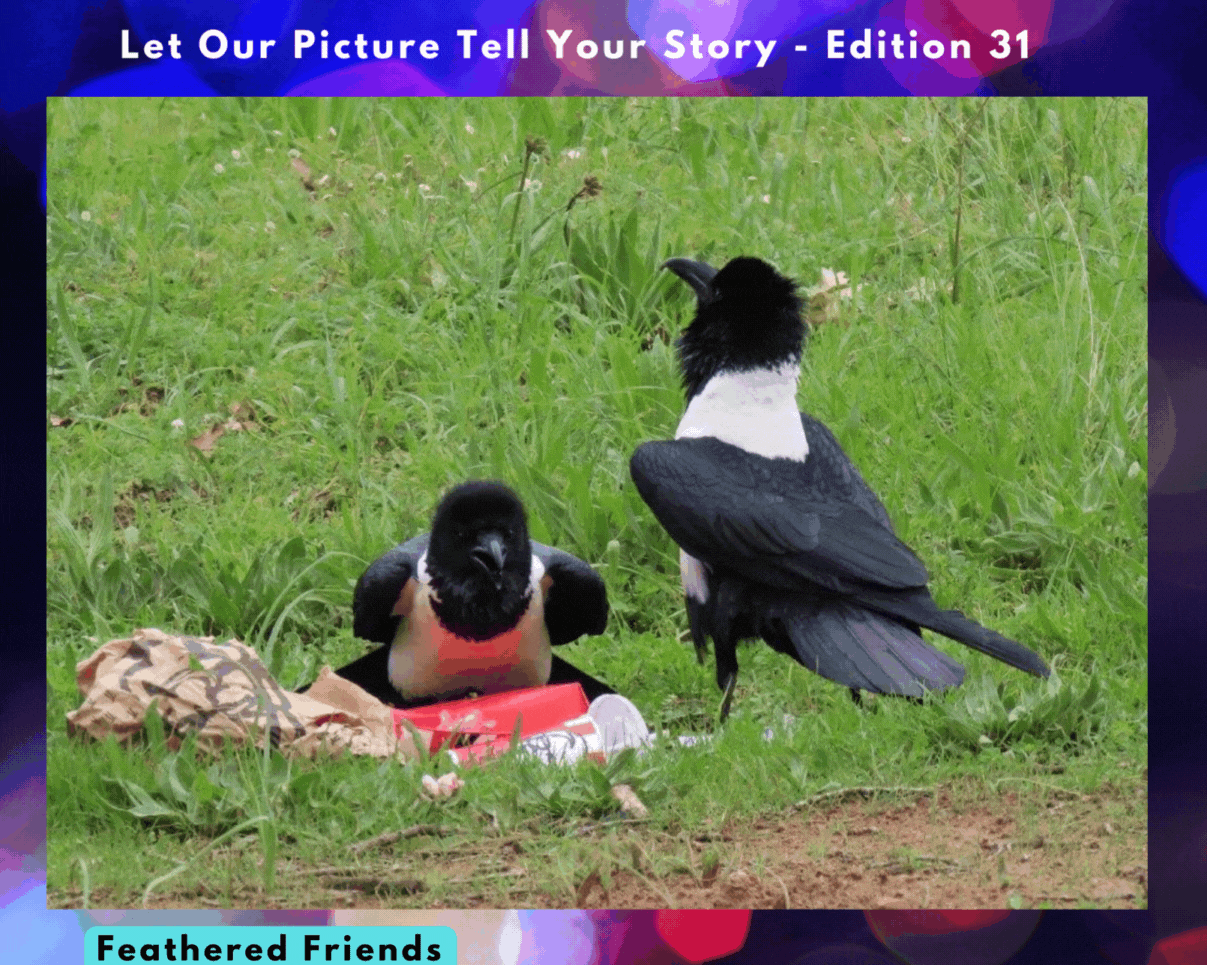 Let Our Picture Tell Your Story - Edition 25