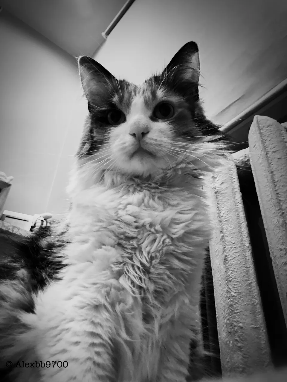 img_5586.jpeg