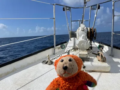 This little guy has been around the planet with me. Literally.