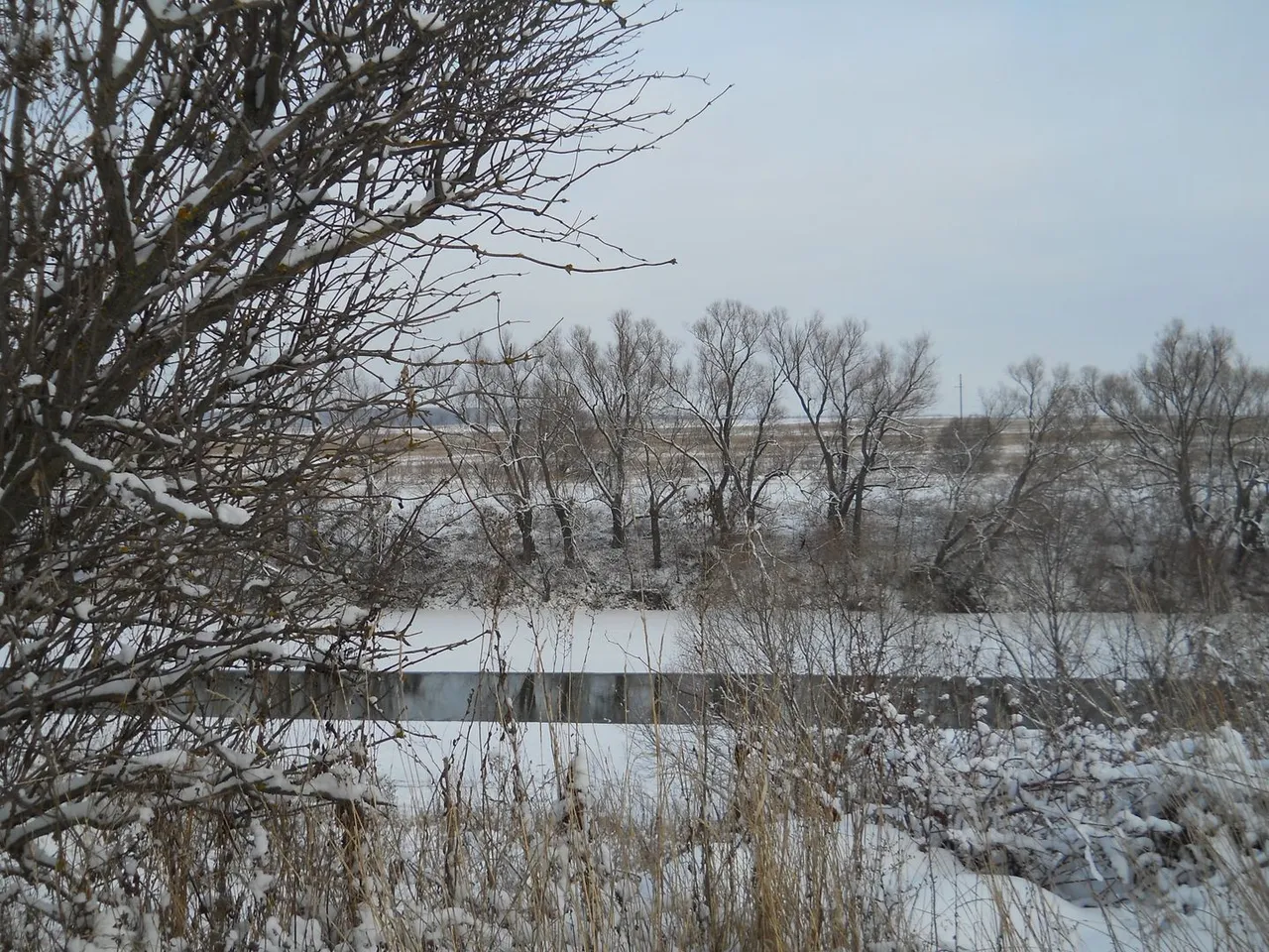 DSCN0331.JPG