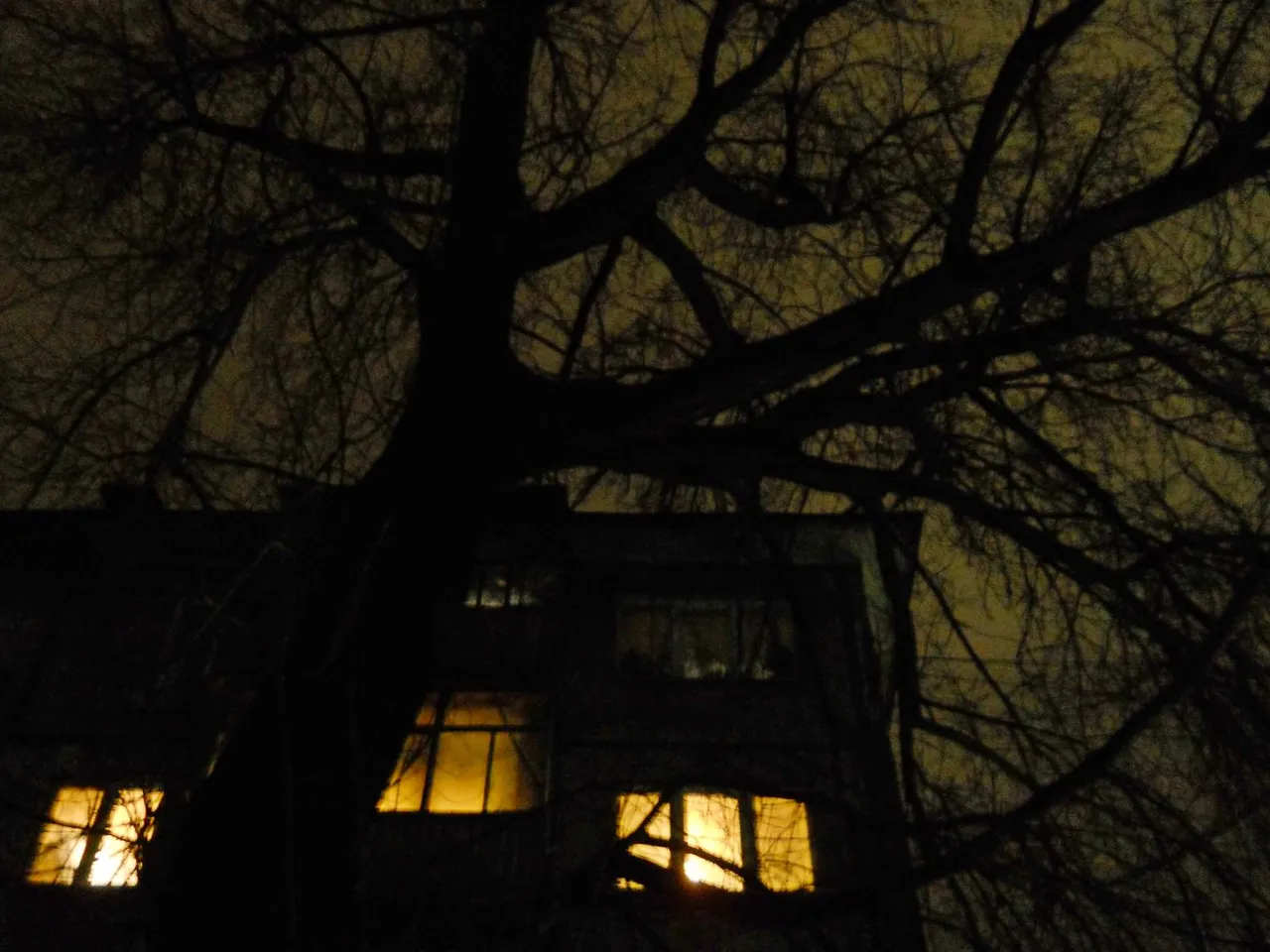 DSCN0175.JPG
