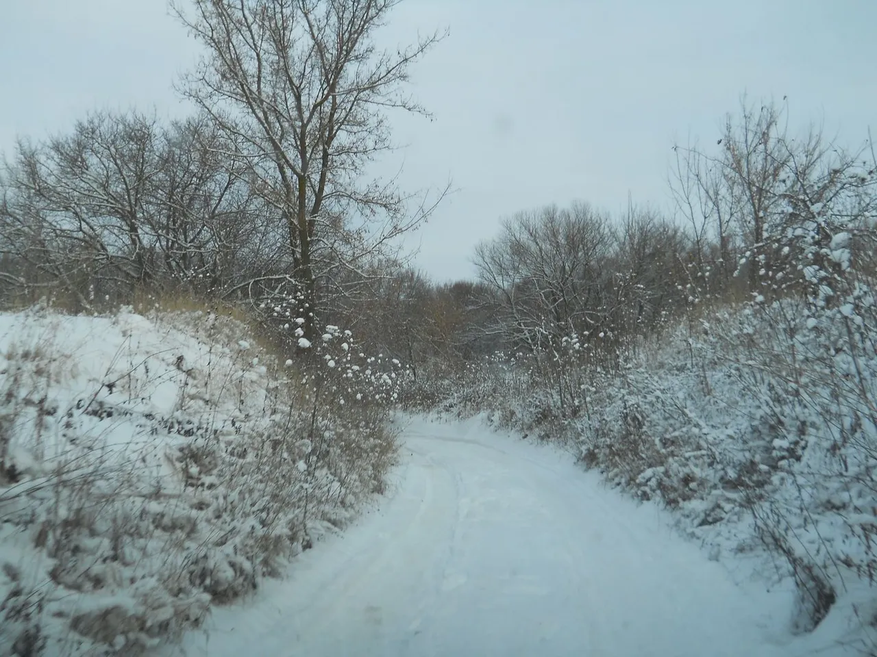 DSCN0300.JPG