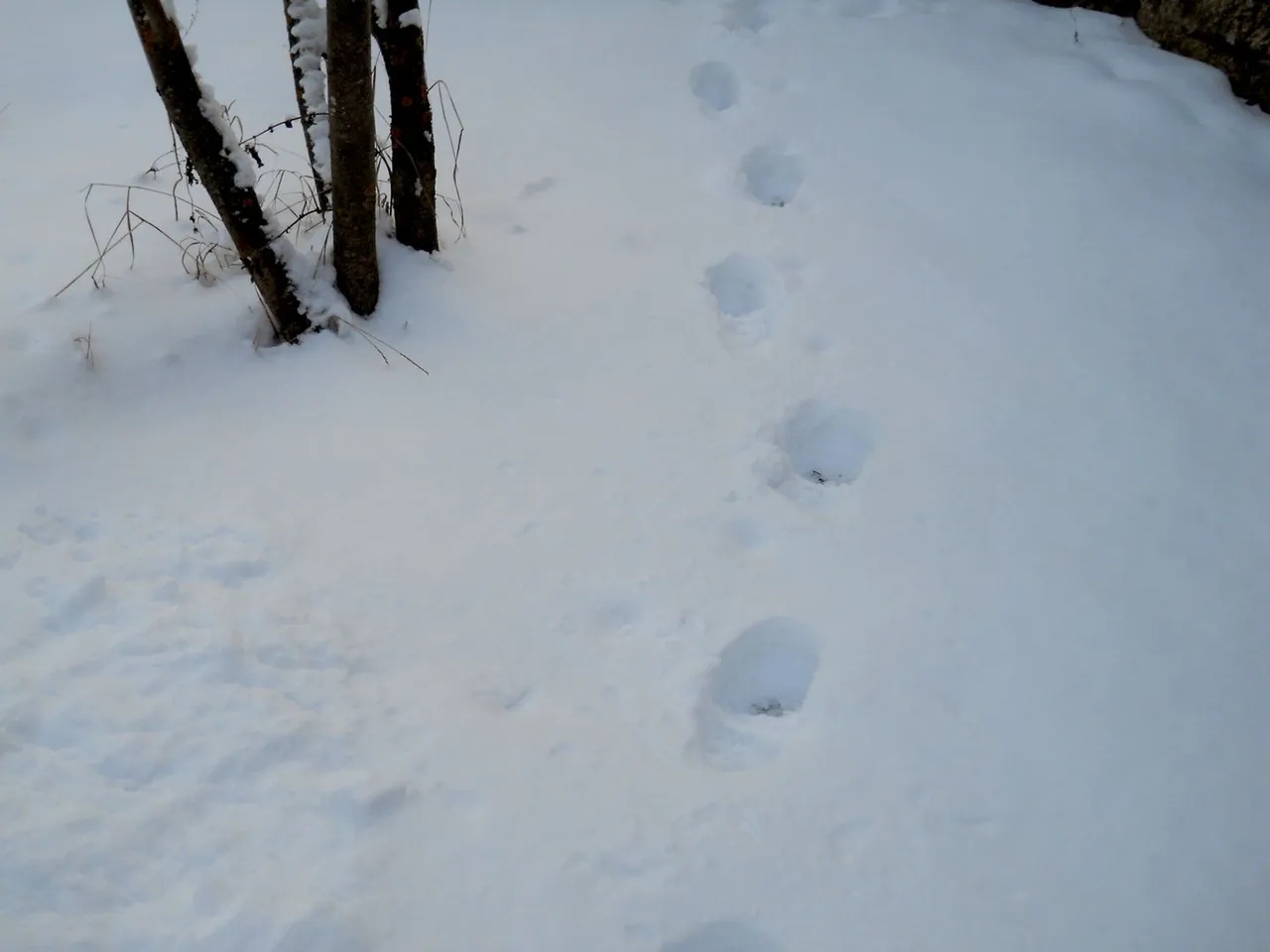 DSCN0340.JPG