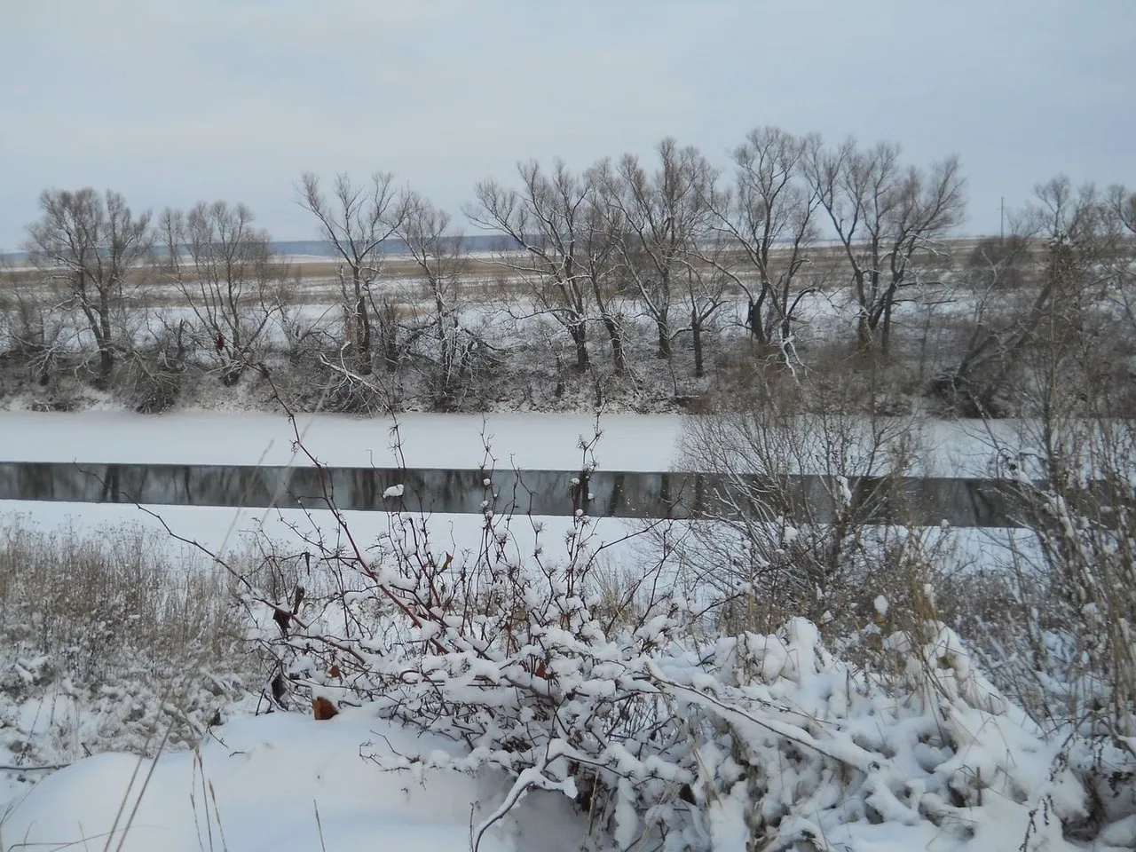 DSCN0330.JPG