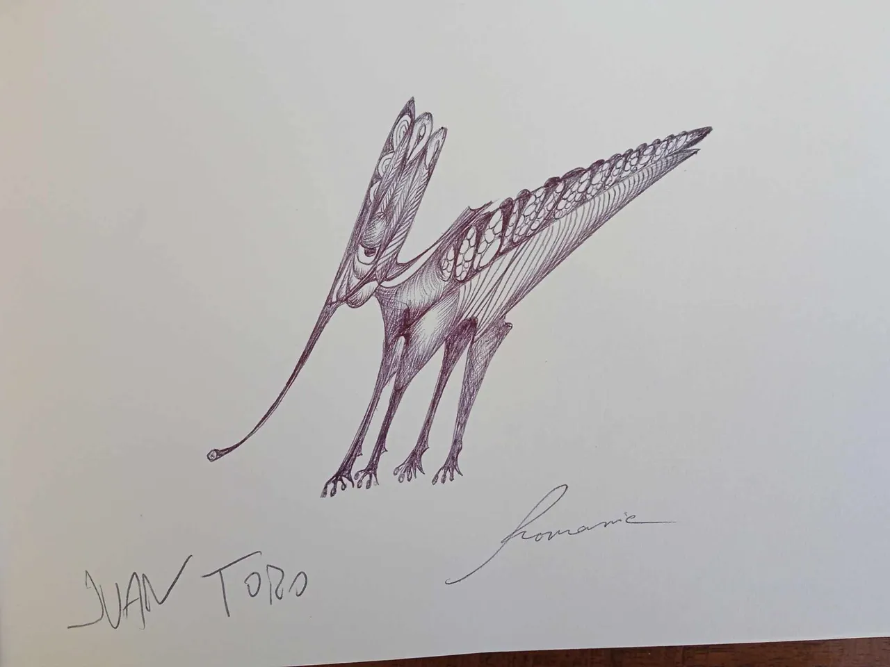 dibujo711B.jpg