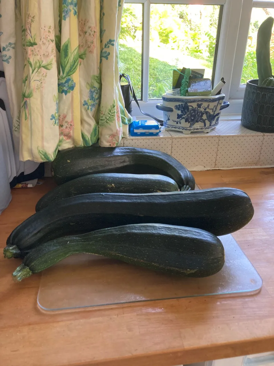 marrow one.jpg