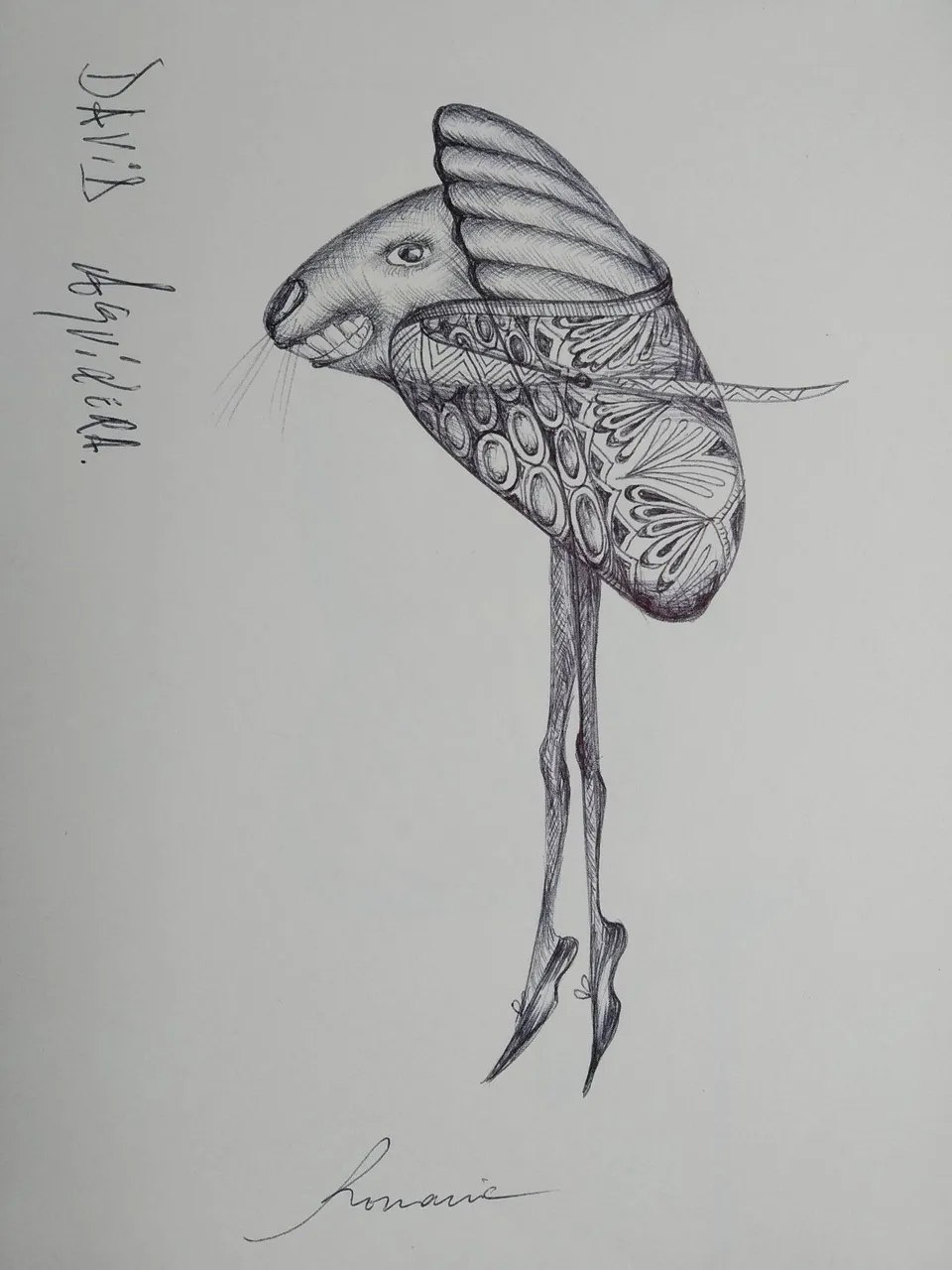 dibujo589B.jpg