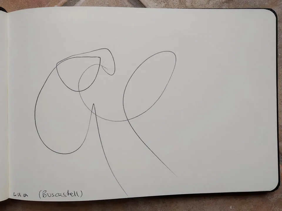 dibujo261A.jpg
